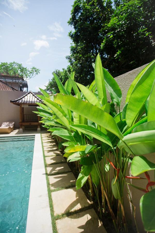 Tempat Tidur & Sarapan Donguri House Bali Jimbaran (Bali)
